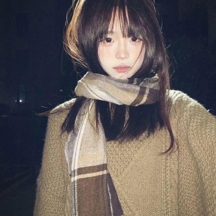 候燕封面